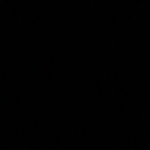 Meet your Posher, Lupe